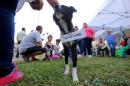 Jornada de Adopcin Responsable