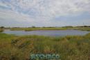 Recorrida de ESCHACO por el Parque Caraguat