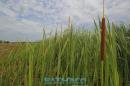 Recorrida de ESCHACO por el Parque Caraguat