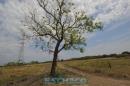 Recorrida de ESCHACO por el Parque Caraguat