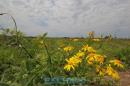 Recorrida de ESCHACO por el Parque Caraguat