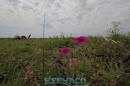 Recorrida de ESCHACO por el Parque Caraguat