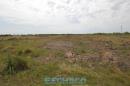 Recorrida de ESCHACO por el Parque Caraguat
