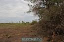 Recorrida de ESCHACO por el Parque Caraguat