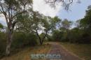 Recorrida de ESCHACO por el Parque Caraguat