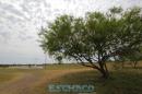 Recorrida de ESCHACO por el Parque Caraguat