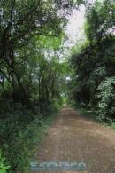 Recorrida de ESCHACO por el Parque Caraguat