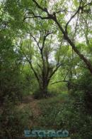 Recorrida de ESCHACO por el Parque Caraguat