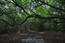 Recorrida de ESCHACO por el Parque Caraguat