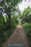 Recorrida de ESCHACO por el Parque Caraguat