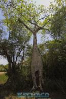 Recorrida de ESCHACO por el Parque Caraguat