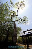 Recorrida de ESCHACO por el Parque Caraguat