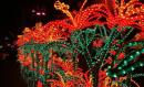 ESCHACO TE DESEA UNA NAVIDAD EN PAZ Y UNIDAD