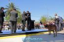 Inauguraciones del Gobernador en Charadai