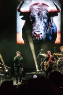 Andrs Calamaro en el Cocomarola