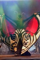 #ADN CHAMAM 27: Noche VII