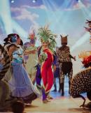 Despedida de la 35� Fiesta Nacional del Chamam�