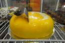 FITHEP Nordeste Expo-alimentaria 2017