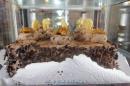 FITHEP Nordeste Expo-alimentaria 2017