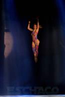 Stravaganza, Water in Art On Tour en Resistencia