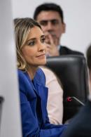 Sesin preparatoria de la Cmara de Diputados del Chaco