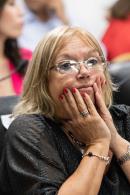 Sesin preparatoria de la Cmara de Diputados del Chaco