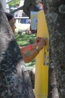 Bienal de Arte y Pintura 2017: Da I