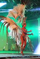 Show de comparsas en Corrientes. Parte II