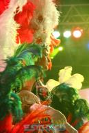 Show de comparsas en Corrientes. Parte II