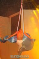 Show de comparsas en Corrientes. Parte II