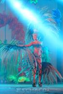 Show de comparsas en Corrientes. Parte II