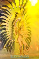 Show de comparsas en Corrientes. Parte II