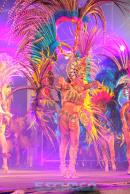 Show de comparsas en Corrientes. Parte III