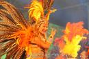 Show de comparsas en Corrientes. Parte III