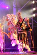 Show de comparsas en Corrientes. Parte III