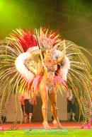 Show de comparsas en Corrientes. Parte III