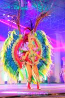 Show de comparsas en Corrientes. Parte III