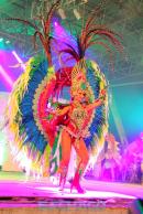 Show de comparsas en Corrientes. Parte III
