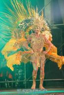 Show de comparsas en Corrientes. Parte III