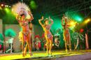Show de comparsas en Corrientes. Parte III