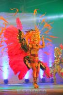 Show de comparsas en Corrientes. Parte III