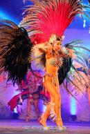 Show de comparsas en Corrientes. Parte III