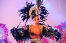 Show de comparsas en Corrientes. Parte III