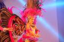 Show de comparsas en Corrientes. Parte III
