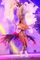 Show de comparsas en Corrientes. Parte III