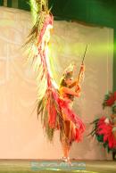 Show de comparsas en Corrientes. Parte III