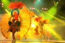 Show de comparsas en Corrientes. Parte III