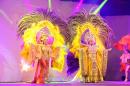 Show de comparsas en Corrientes. Parte III