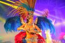 Show de comparsas en Corrientes. Parte III