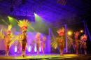 Show de comparsas en Corrientes. Parte III